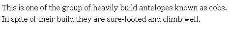 Text Box: This is one of the group of heavily build antelopes known as cobs. In spite of their build they are sure-footed and climb well.